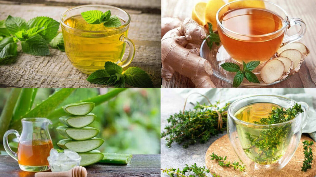 درمان ترش کردن معده در طب سنتی