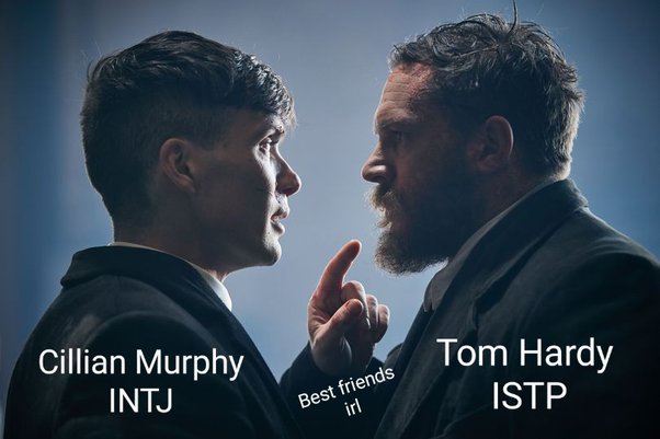 رابطه دوستانه ISTP و INTJ